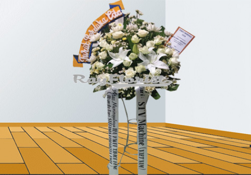 IMG-PRODUCT