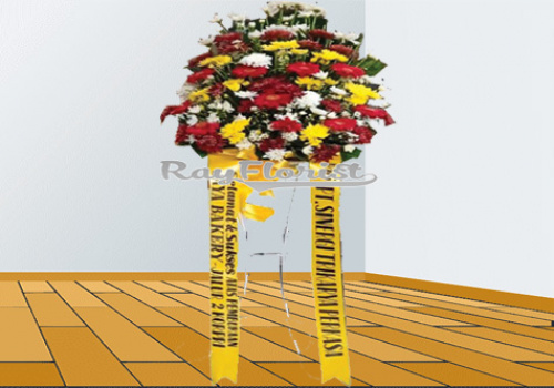 IMG-PRODUCT