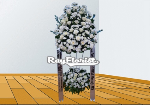 IMG-PRODUCT