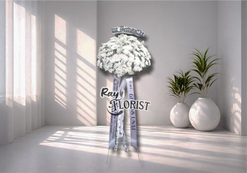 IMG-PRODUCT